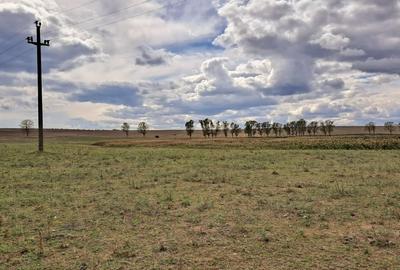 Teren intravilan de 1 Ha, cu iesire la lac, pretabil parc fotovoltaic sau turism - 7