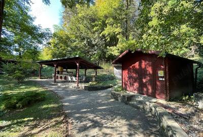 Casă cu 6 camere în Ocoliș - 10