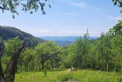 Casă cu 2 camere cu Teren 27263 Mp în Hălmagiu - 5