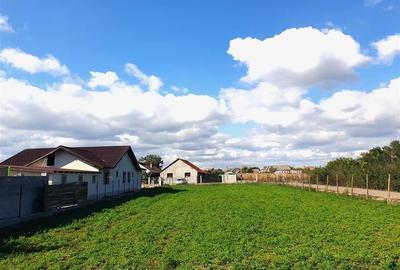 Casa cu teren mare in Cefa cu triplu front stradal - 13