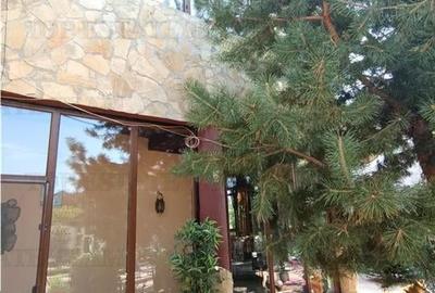 Super afacere, vila cu aspect de conac cu spatii moderne dar si clasice antichiz - 1