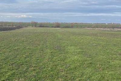 Teren de 8934 mp, în Foeni - 4