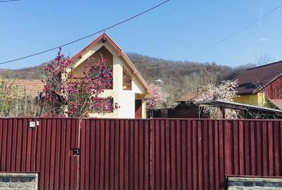 Casă cu 3 camere cu Teren 1230 Mp în Goranu - 1