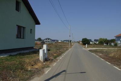 Domnesti-Salciei-stradal - 2