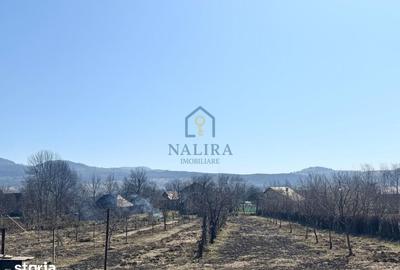 Casă cu 3 camere decomandat cu Teren 5000 Mp în Șișești - 8