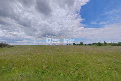 Teren agricol extravilan de 114000 mp, în Ariceștii Rahtivani - 1
