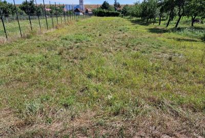 Spațiu comercial, în Central - 5