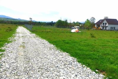 Teren extravilan  de vanzare | 8000 mp|- Valea Avrigului - 3