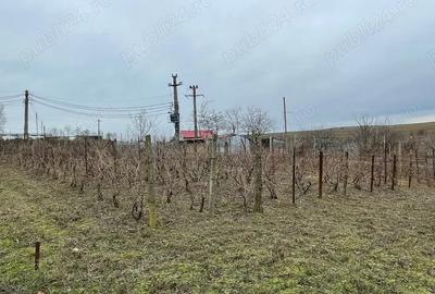 Vand casa com. Nufaru - 8