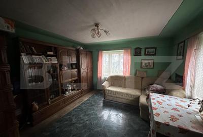 Teren 3000 mp + 2 case de vanzare-Ca?eiu - 18