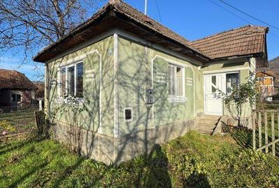 Casă cu 1 camere cu Teren 420 Mp în Central - 1