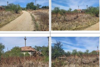 Casa si teren Sat Guruieni, cota parte de 1/2 , ID: R2319667 - 2