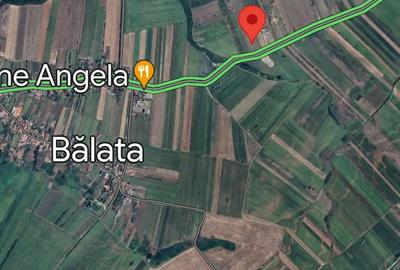 Teren de 16500 mp, în Bârsău - 5