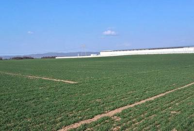 Teren de 3334 mp, în Central - 5