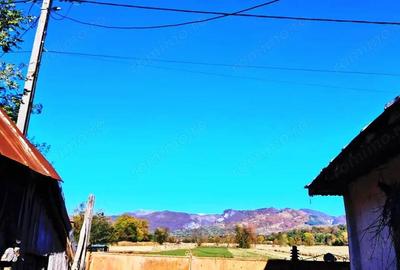 TEREN INTRAVILAN ?I EXTRAVILAN POLOVRAGI-RACOVI?A - 5