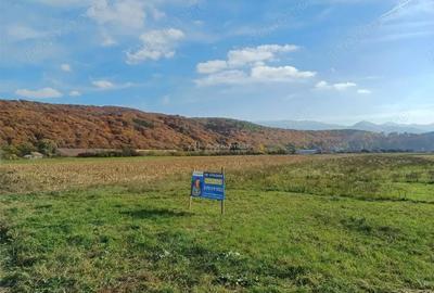 Teren de 10000 mp, în Tălmaciu - 2