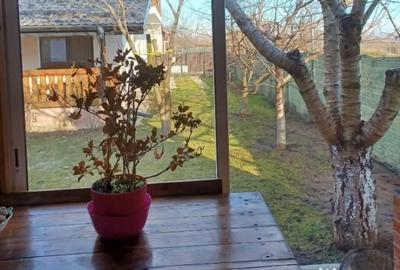 Casă cu 4 camere cu Teren 600 Mp în Tișăuți - 8