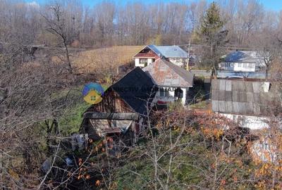 Casa + teren 5062 mp de vanzare - Targu Neamt - 4