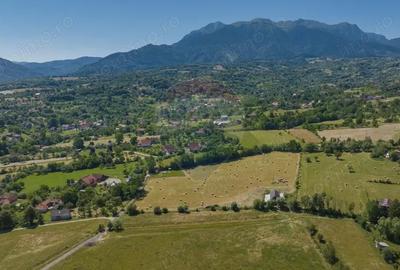 Teren de 6900 mp, în Bran - 15