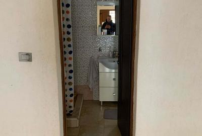 Casa renovata in Craciunelul de Jos Blaj - 2