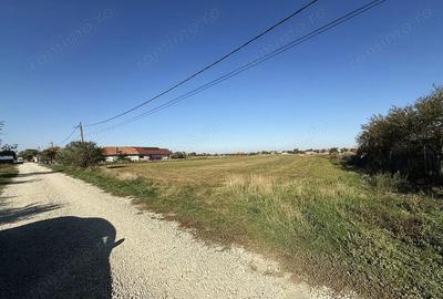 5000 mp. teren intravilan - Les - IMOBIHOR - 2