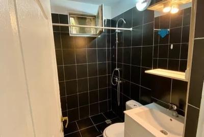 Apartament cu 2 camere, mobilat în Domenii - 7