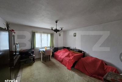 Casă cu 3 camere cu Teren 7297 Mp în Central - 9