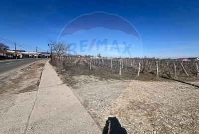 Teren de 1523 mp, în Unirea - 10