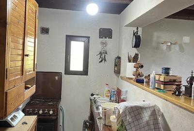 Casă cu 2 camere cu Teren 7500 Mp în Sulighete - 3