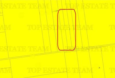 TEREN EXTRAVILAN,PADUREA COMOROVA,NEPTUN - 2