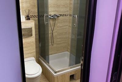 Vand apartament 3 camere, parter, transformat in spatiu comercial si garsoniera - 16