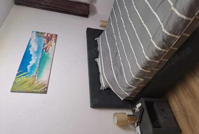 Apartament cu 2 camere semidecomandat în Central - 4