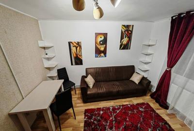 Garsonieră în Timișu de Jos - 7