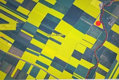 Teren agricol Codlea marginit de Raul Barsa - 3