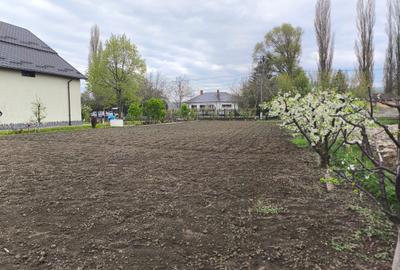 Spațiu comercial, în Holboca - 1