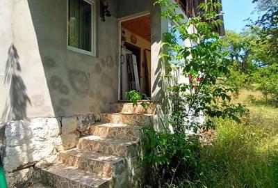 Casă cu 2 camere în Glăjărie - 3