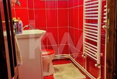 Apartament cu 3 camere decomandat în Brazda lui Novac - 10