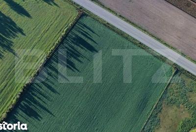 Teren de 50000 mp, în Șagului