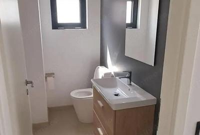 Spațiu comercial, de 736 mp, în Mogoșoaia - 1