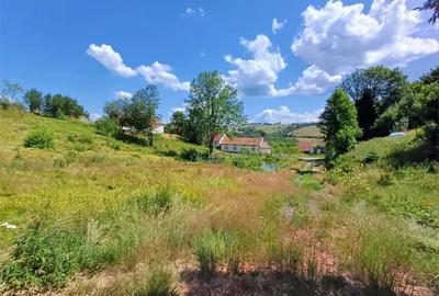 Teren de 4500 mp, în Brebu - 7