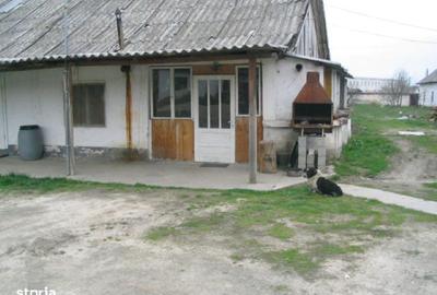 Spațiu comercial, în Central - 15