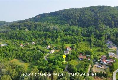 TEREN 684 MP, ZONA SUPERBA - 8