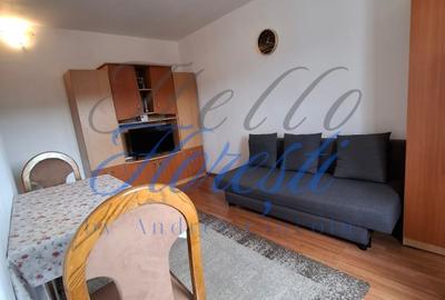 Apartament cu 1 camere, in zona Baciu - 2