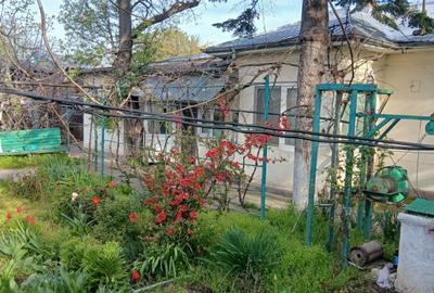Casă cu 3 camere în Central - 3