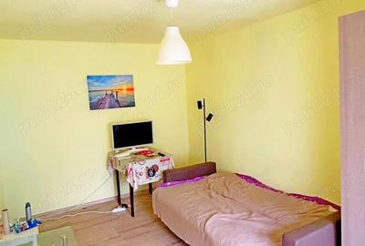 Sagului - garsoniera Sagului - garsoniera - 8