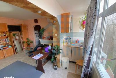 Apartament cu 2 camere semidecomandat în Brazda lui Novac - 10