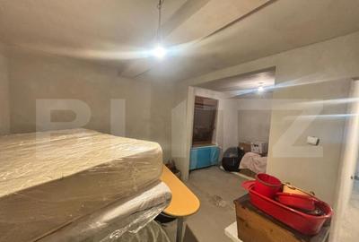 Casă cu 5 camere cu Teren 5000 Mp în Unirea - 28