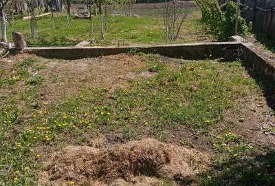 Teren de 700 mp, în Băcălești - 3