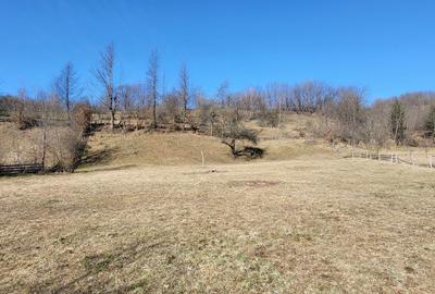 Spațiu comercial, în Lupșa - 3