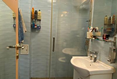 Garsoniera Marasti zona Expo Transilvania , parter/4 , 28 mp - 6